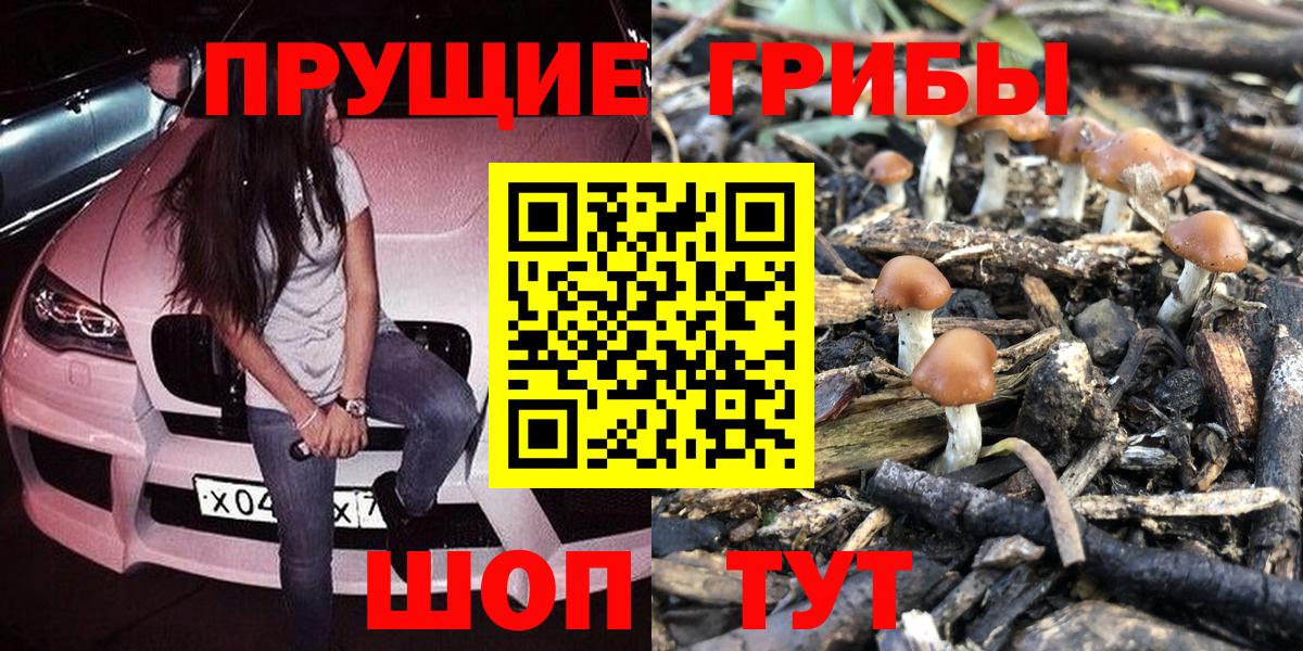 Галлюциногенные грибы GOLDEN TEACHER  Галлюциногенные грибы мухоморы  Заринск  Вход с VPN 