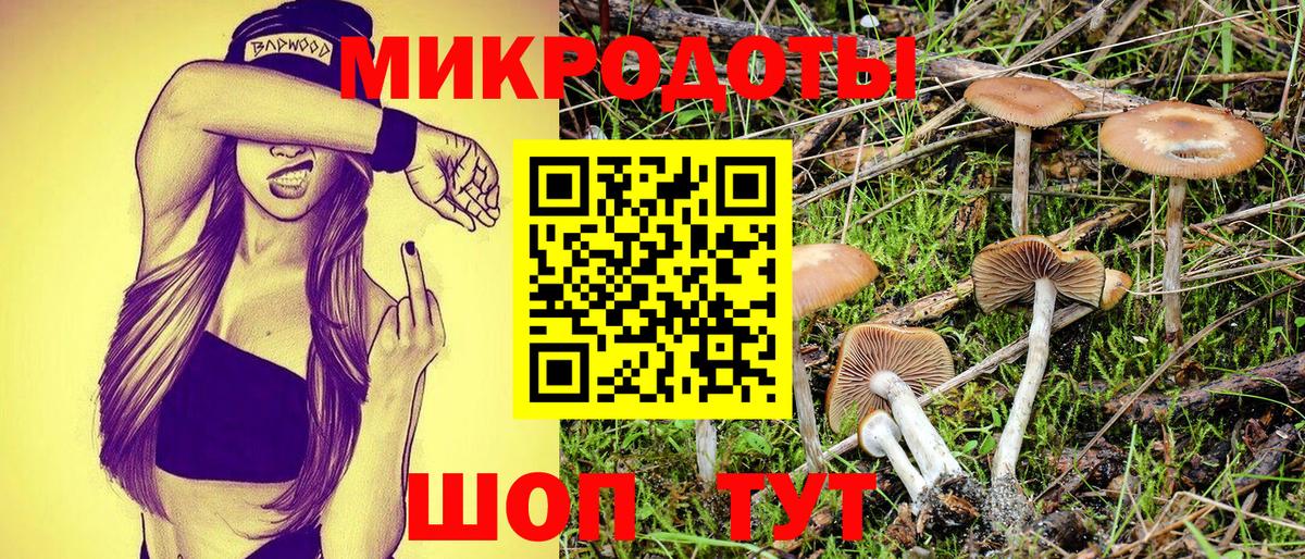Псилоцибиновые грибы Magic Shrooms Заринск